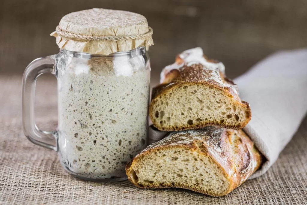 Top 10 Sourdough Starter Tips